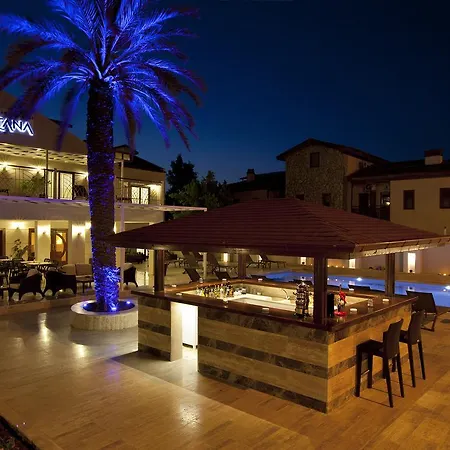 ホテル Montana ダルヤン