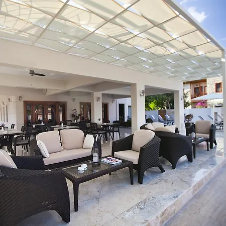 Montana ダルヤン