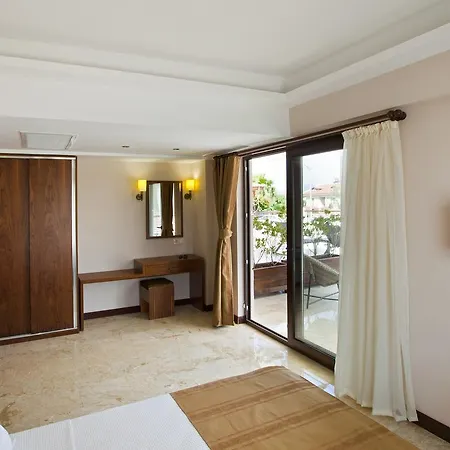 Montana ダルヤン