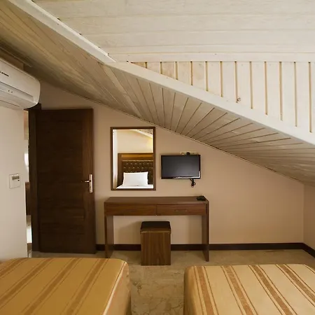 Montana ダルヤン