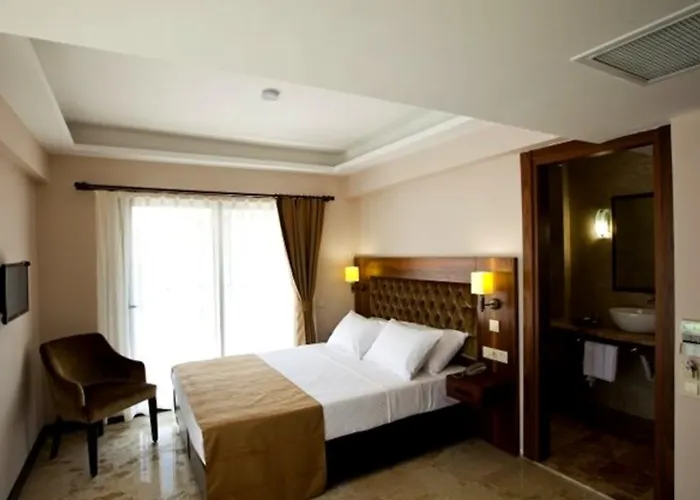 Montana Hotel 3*